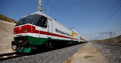 Ethio-Djibouti Railways