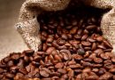Authority Expects $1.8bln Revenue from Coffee Export this year