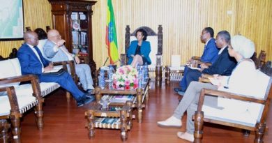 State Minister Hirut Confers with South African Ambassador to the FDRE