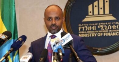 UAE’s Etisalat Keen on Entering Ethiopian Telecom Market