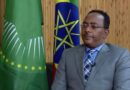 Govt: EU, US Envoys Failed to Press TPLF to Unequivocally Commit for Peace Talks