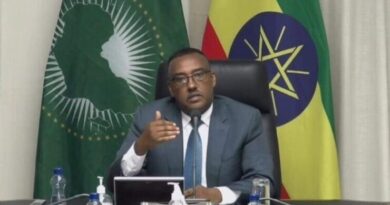 Ethiopia Calls for Fair Representation in UNSC