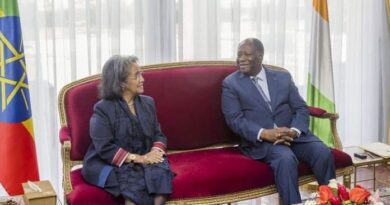 Sahle-work Holds Talks with Cote d'Ivoire President