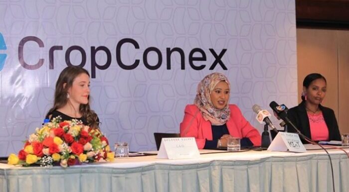 CropConex to Start Trading Ethiopian Coffee online
