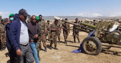TPLF Begins Handing Over Heavy Weapons to Federal government