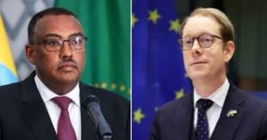 Ethiopian, Swedish FMs Discuss Issues of Mutual Interest