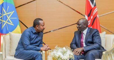 Abiy, Ruto Hold Talks on Ways to Boost Ethiopia-Kenya Ties