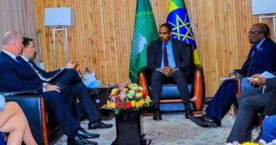 Ethiopia, Czech Explore Ways to Step up Relations