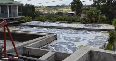 a wastewater treatment plant of a tannery in Ethiopia