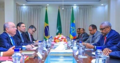 The Top diplomats of Ethiopia and Brazil held discussions in Addis Ababa on Monday.