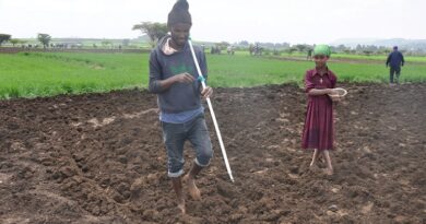 A farmer in Enargina Enawga woreda of East Gojjam Zone of the Amhara Region