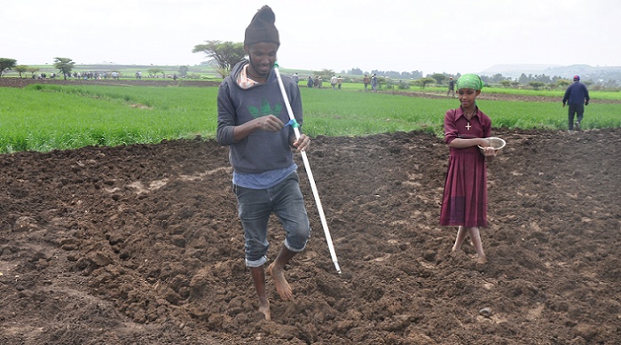 A farmer in Enargina Enawga woreda of East Gojjam Zone of the Amhara Region