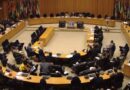 Ten Countries Elected to AU Peace and Security Council