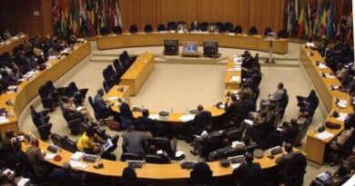 Ten Countries Elected to AU Peace and Security Council