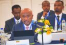Head of the Ethiopian Negotiating Team Ambassador Seleshi Bekele (PhD)