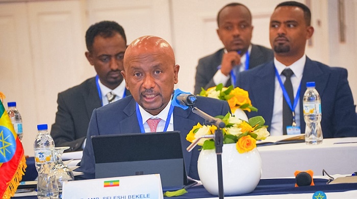 Head of the Ethiopian Negotiating Team Ambassador Seleshi Bekele (PhD)