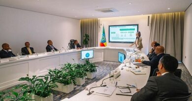 Ethio Telecom CEO speaking at the review meeting on Tuesday.
